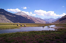 Argentina-Cordoba/Mendoza-Andean Crossing Adventure